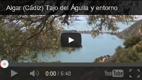 video Algar